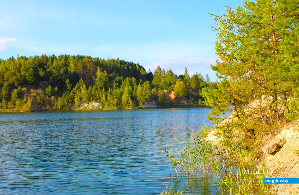 Сентябрь 2024 года. Климовичский район Могилевской области. Меловые карьеры.