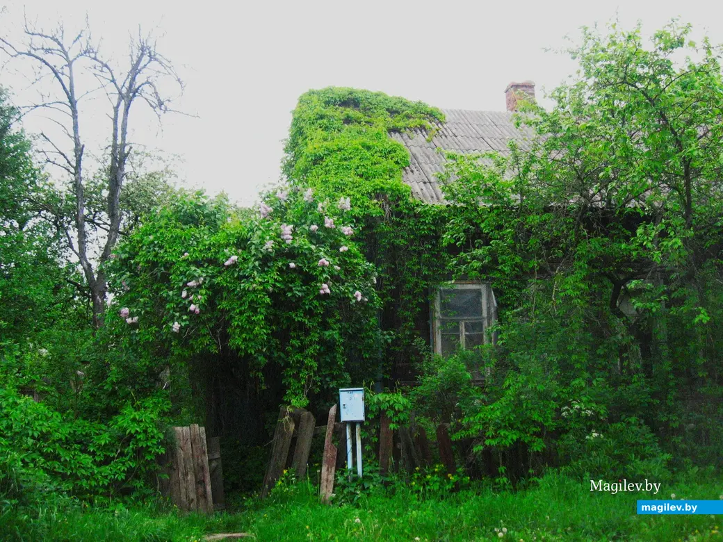 Волшебный домик по улице Первой железнодорожной, с двора которой началась книга «Парад планет». Могилев, лето, 2013 г.