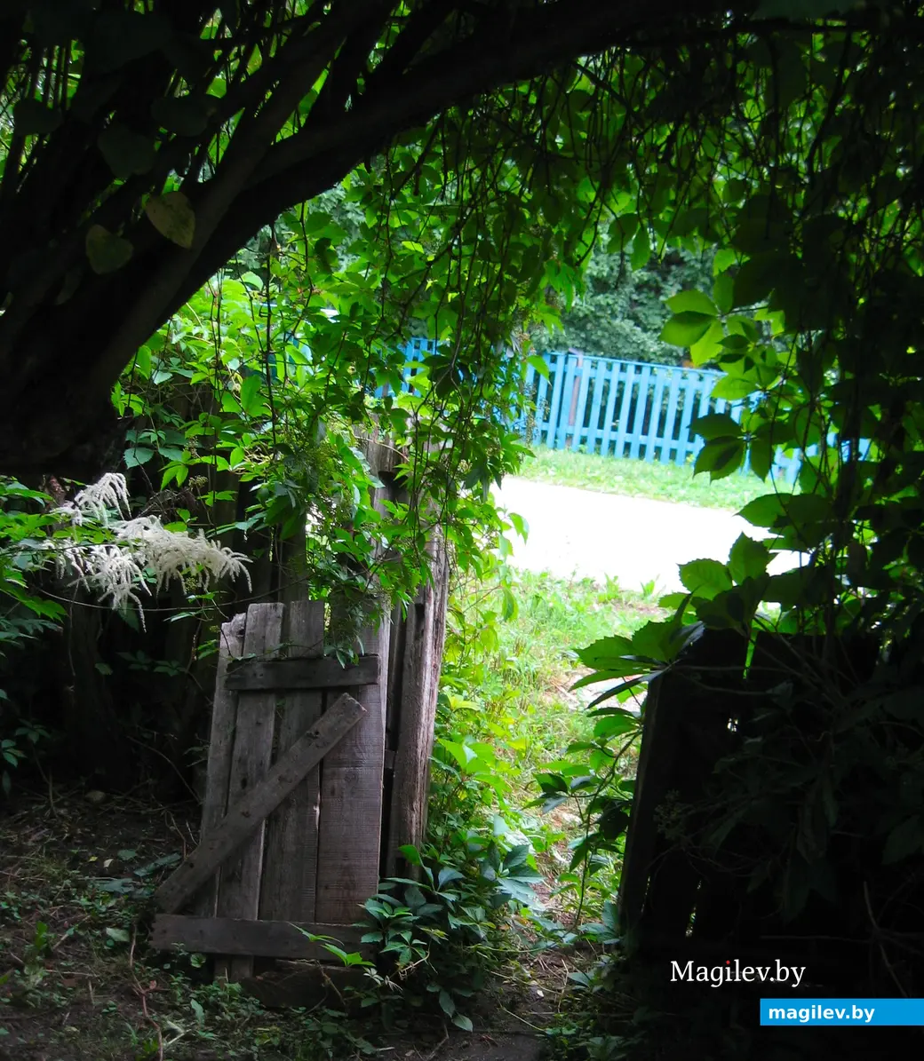 Дворик домика по улице Первой железнодорожной. Могилев, лето, 2013 г.