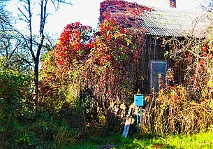 Могилев исчезающий: «Волшебный» домик и «Парад планет»