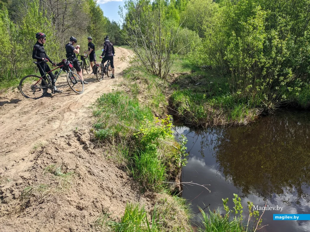 Речка Пересопня, приток реки Суша. Кличевский район, Могилёвская область.