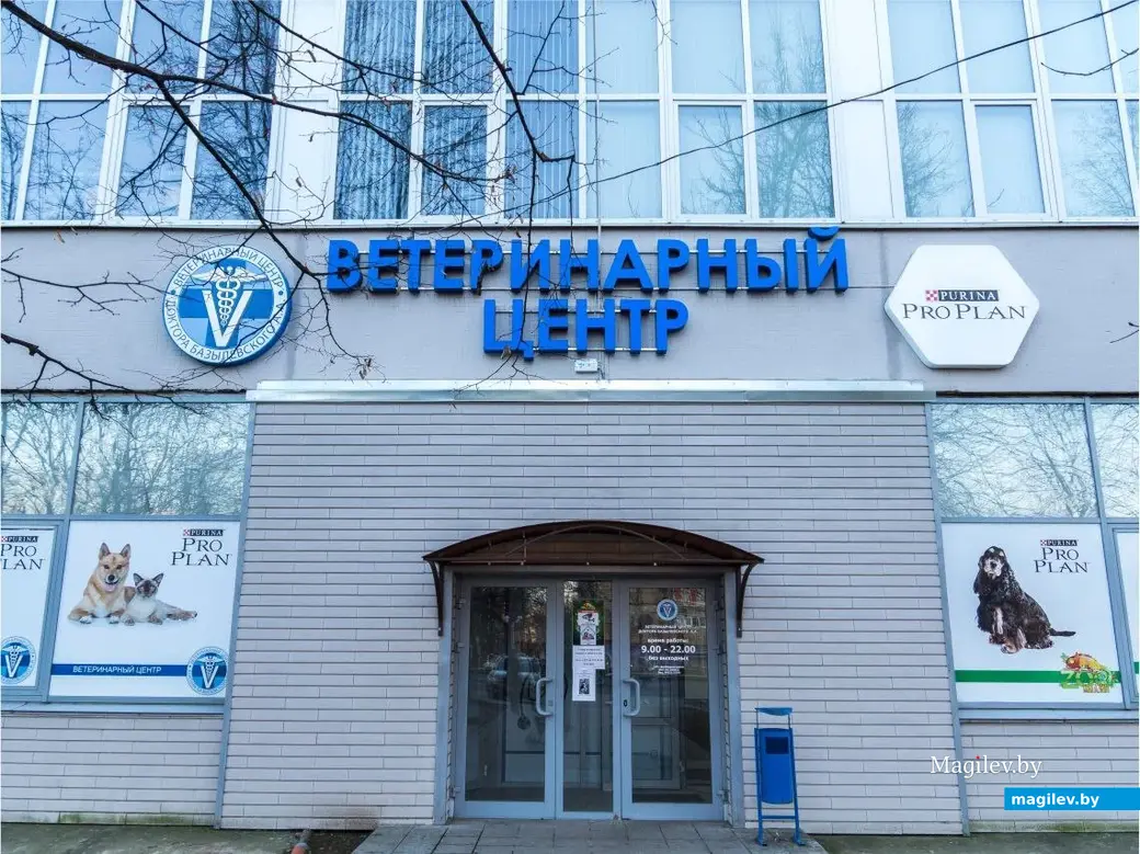 Здесь, в ветеринарном центре доктора Базылевского на Якубовского, 20, нас убедили, что стерилизация кошке пойдет только во благо. Фото предоставлено ветцентром.