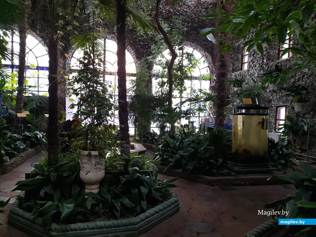 Зимний сад на территории дворцово-паркового ансамбля. Здесь растут пальмы, посаженные еще в 1888 году. Гомель, 7.01.2024 г