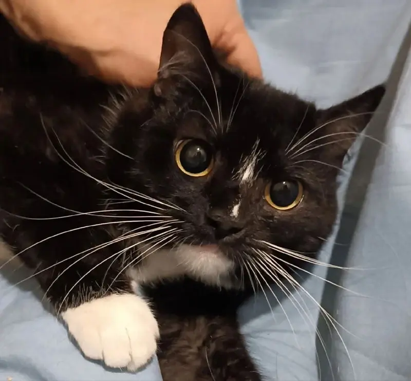 Молоденькая Марта.