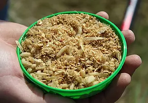 Пять ошибок прикорма, от которых не застрахован даже бывалый рыбак