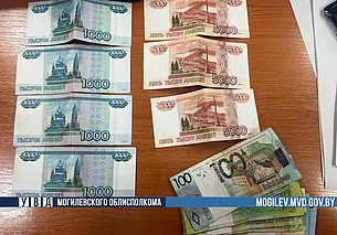 Могилевчанина обворовал «друг» после совместного застолья