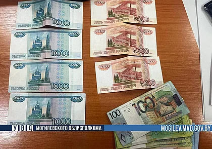 Могилевчанина обворовал «друг» после совместного застолья