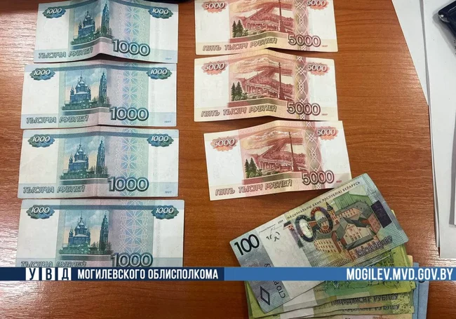 Могилевчанина обворовал «друг» после совместного застолья