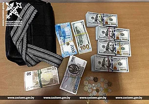 Гражданка Украины пыталась ввезти в Беларусь около 42 тысяч долларов без декларации