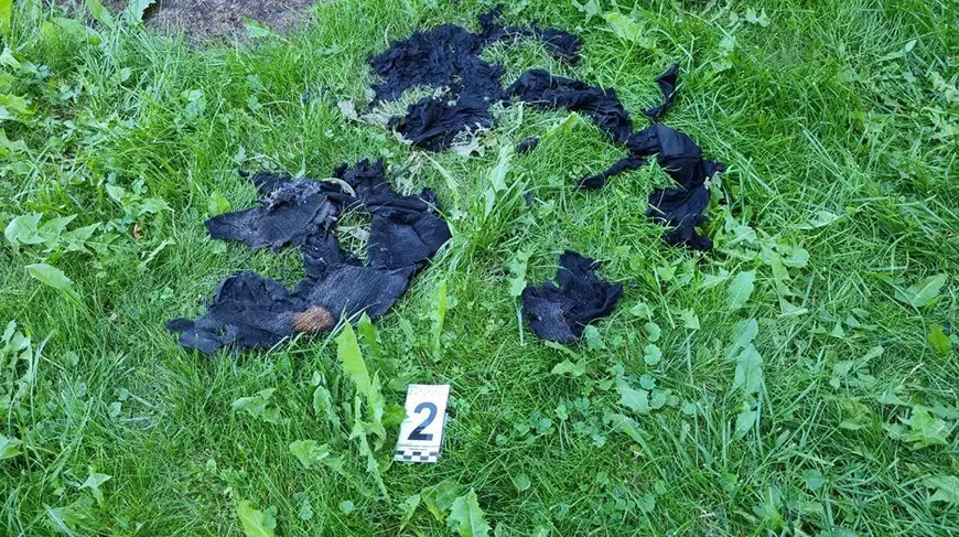 14.08.2023. Кобринский район. Кобринчанин поджег своего собутыльника и оставил умирать на улице. Фото: СК РБ