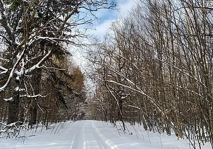 Пойдут ли морозы на убыль? Прогноз погоды на неделю с 15 по 21 января