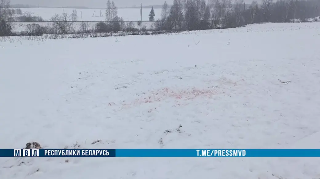 Январь 2024 г. Могилевская область. Задержаны «спортики», избившие двух бобруйчан. Скриншот с видео МВД РБ.