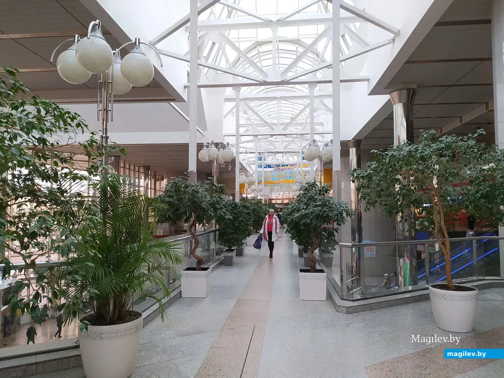 12.01.2024 г., Минск. Экологичное зеленое пространство железнодорожного вокзала.