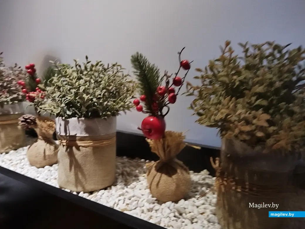 18.01.2024 г. Могилев. Фестиваль еды «Зімовы смак». Рестобар «Эдисон».