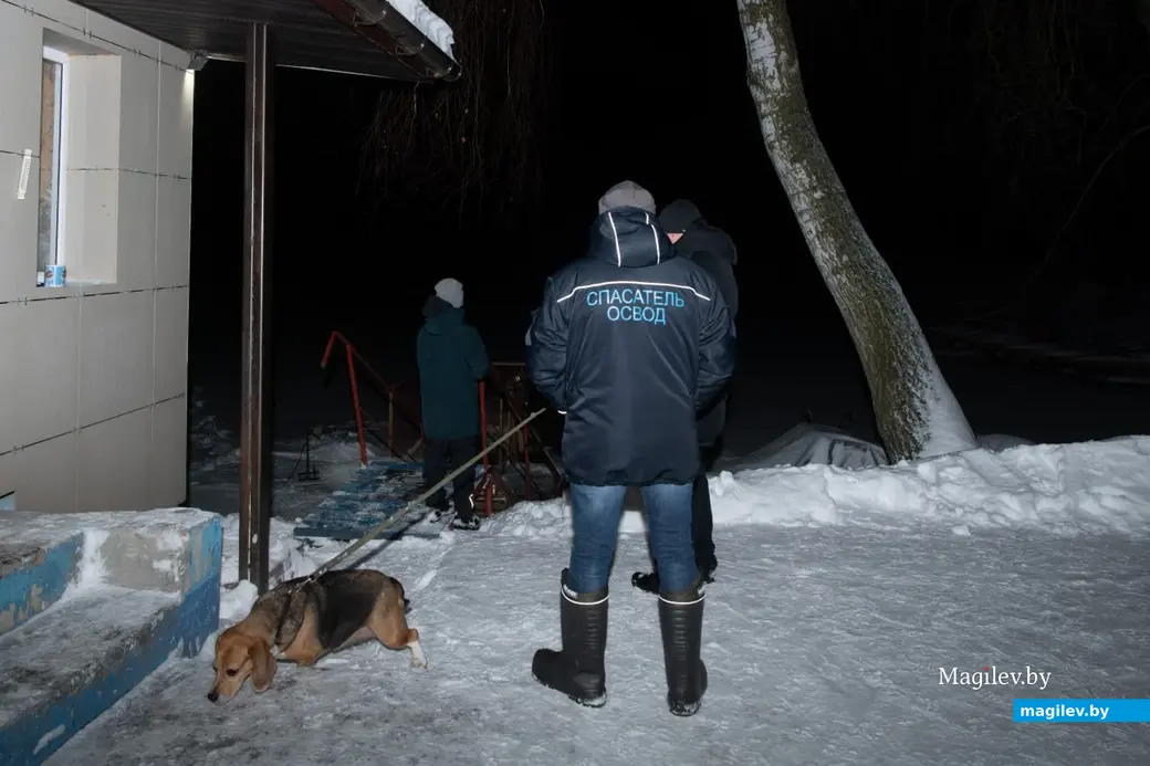 18 января 2024 г. Могилев, Печерский лесопарк. Могилевчане окунаются в прорубь накануне Крещения.