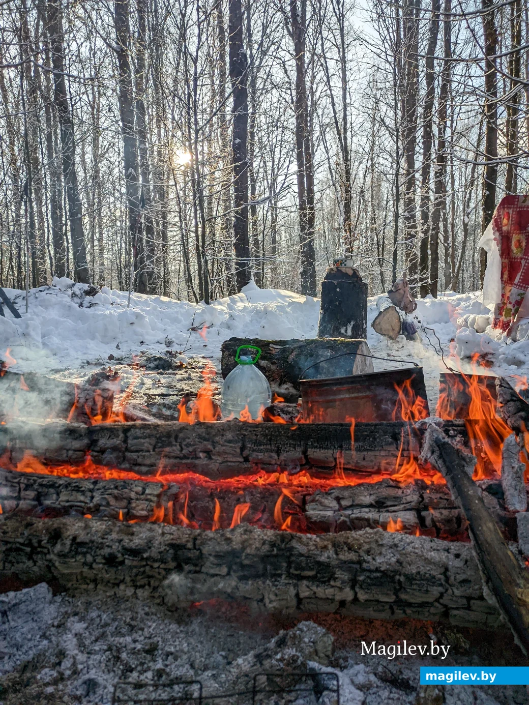 21.01.2024. Бобруйск. Всемирный день снега отметили туристы клуба «Родина» в лесопарковой зоне у