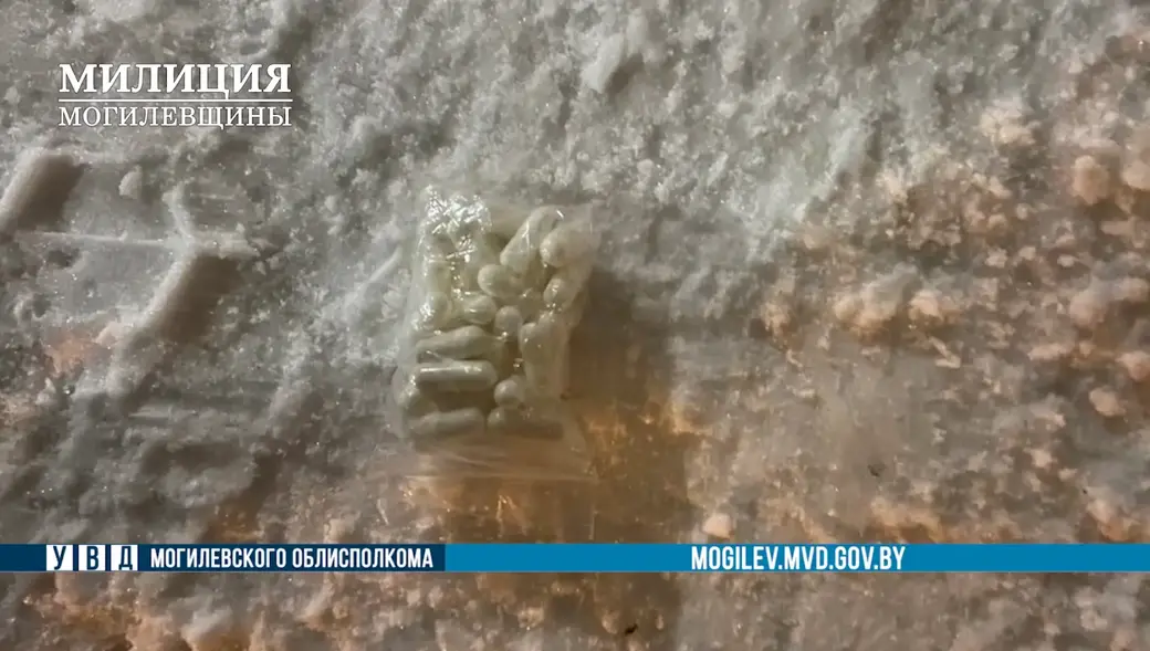 Оперативники областного наркоконтроля задержали могилевчанина, который создал и администрировал интернет-магазин по продаже наркотиков.