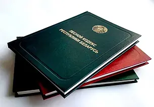 В Беларуси вступает в силу обновленный Лесной кодекс