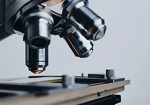 3D-хирургия и новые породы животных: над чем работали белорусские ученые в 2023 году?