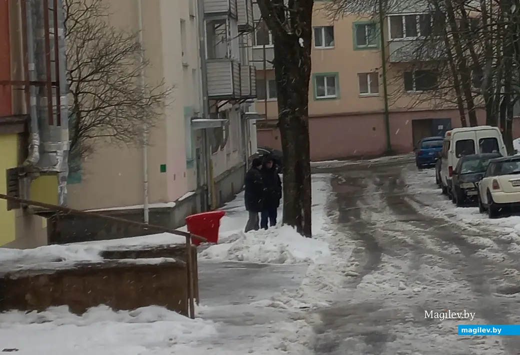 Январь 2024 года, Могилев, двор по улице Крыленко. Их было двое...