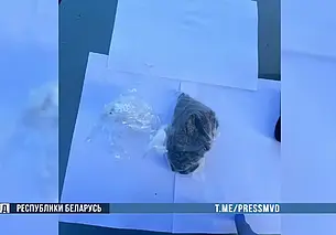 В Могилеве задержали группу курьеров наркомаркета (видео)