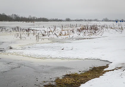 Ветер и туманы: прогноз погоды в Беларуси на неделе с 12 по 18 февраля