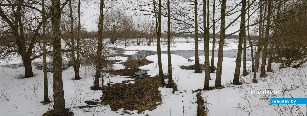 0Фото: Александр Чугуев.