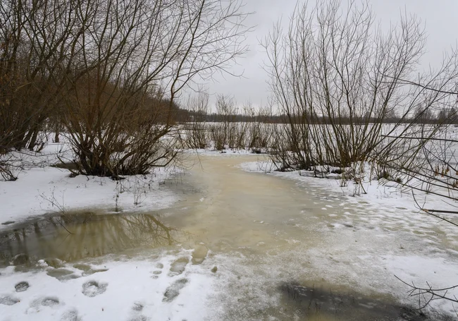 Температура на 2-4℃ выше нормы: прогноз погоды в Беларуси на неделю с 19 по 25 февраля