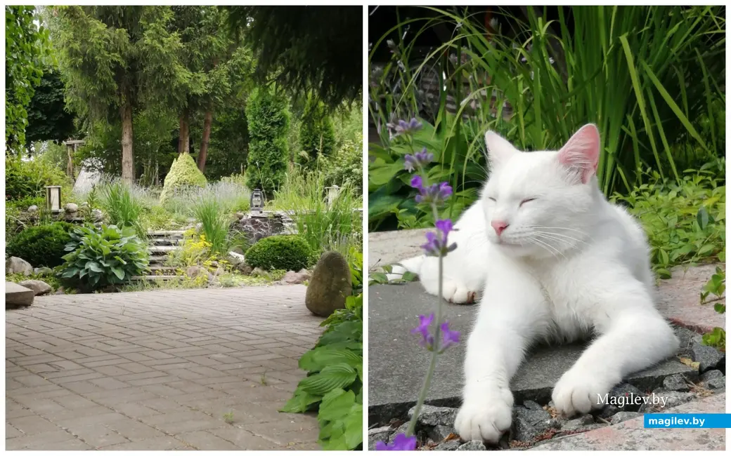 Любимый сад Екатерины летом особенно хорош.