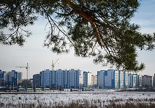 Без осадков, местами туман: какой будет погода в Могилеве в среду, 17 декабря