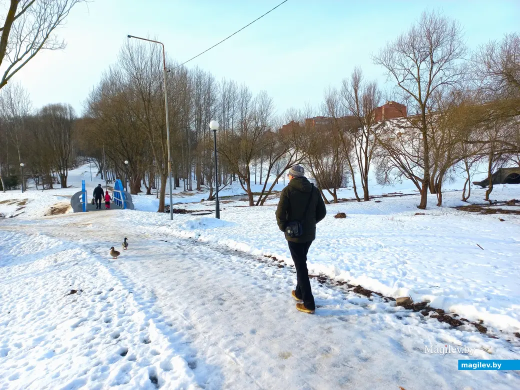 31.01.2024 г., Могилев, улица Селянская – Дубровенка.