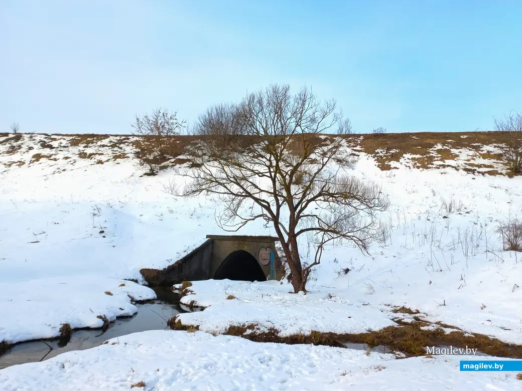 31.01.2024 г., Могилев, улица Селянская – Дубровенка.