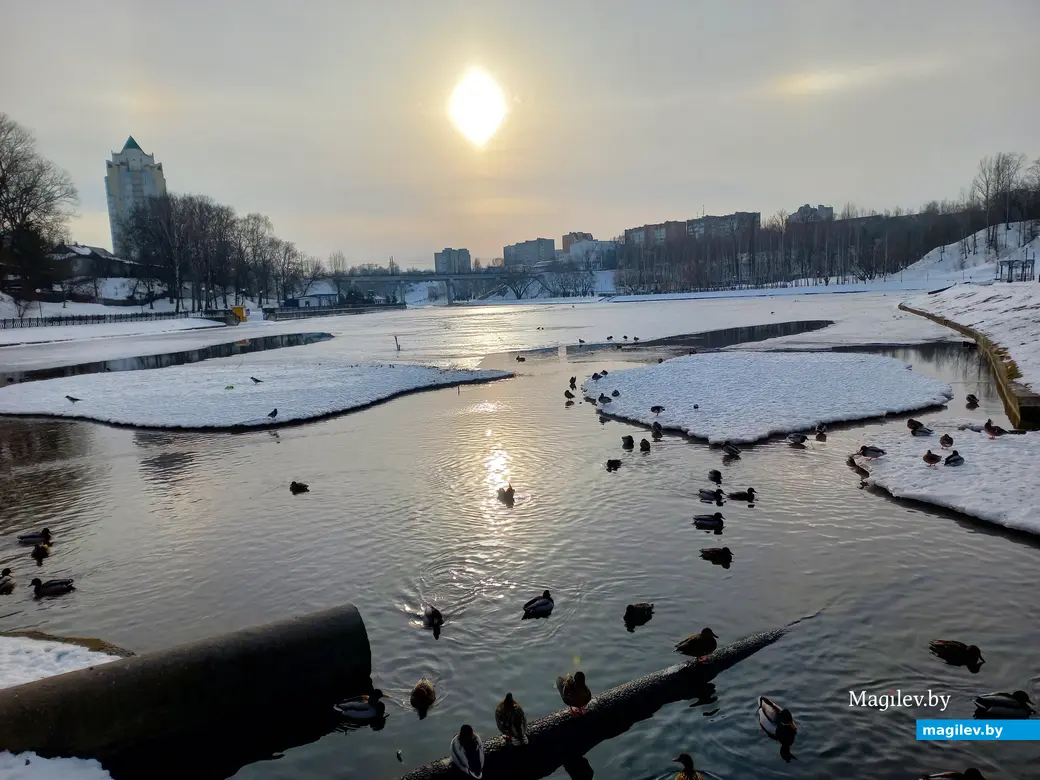 31.01.2024 г., Могилев, улица Селянская – Дубровенка. Солнечное гало.