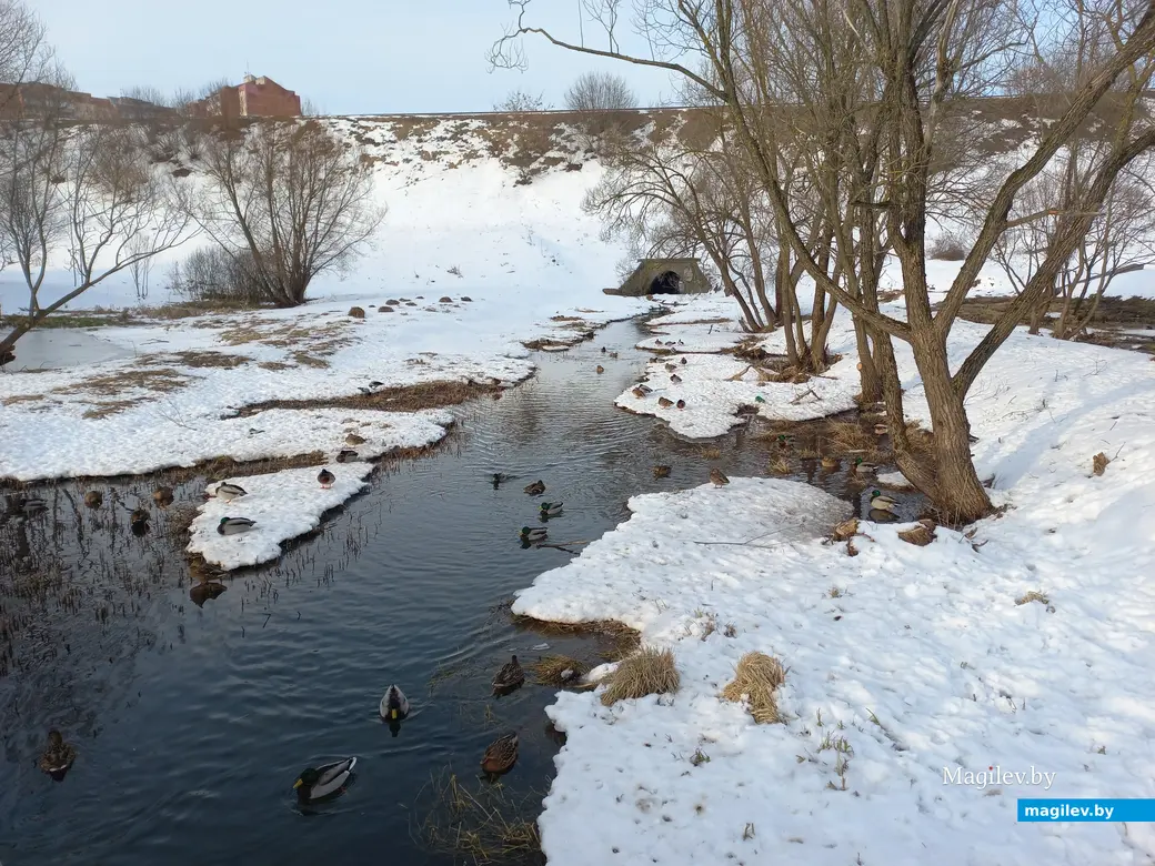 31.01.2024 г., Могилев, улица Селянская – Дубровенка.