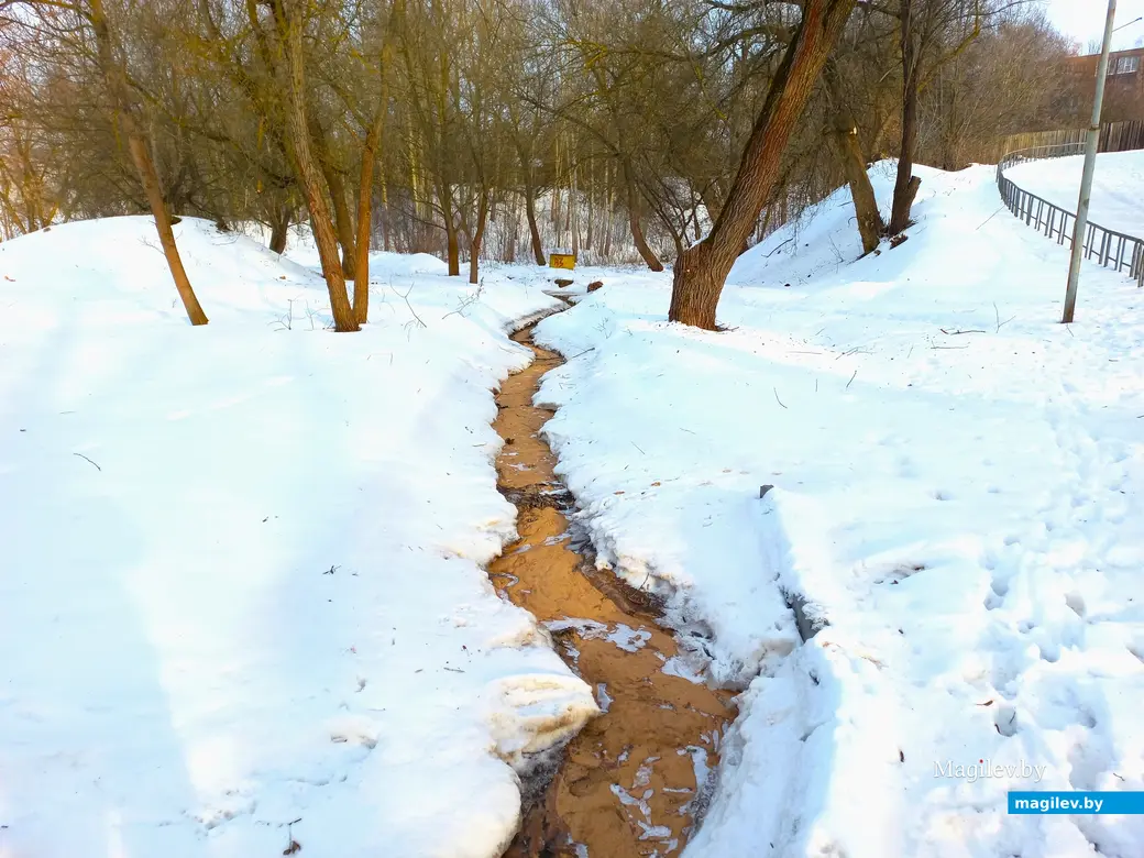 31.01.2024 г., Могилев, улица Селянская – Дубровенка.