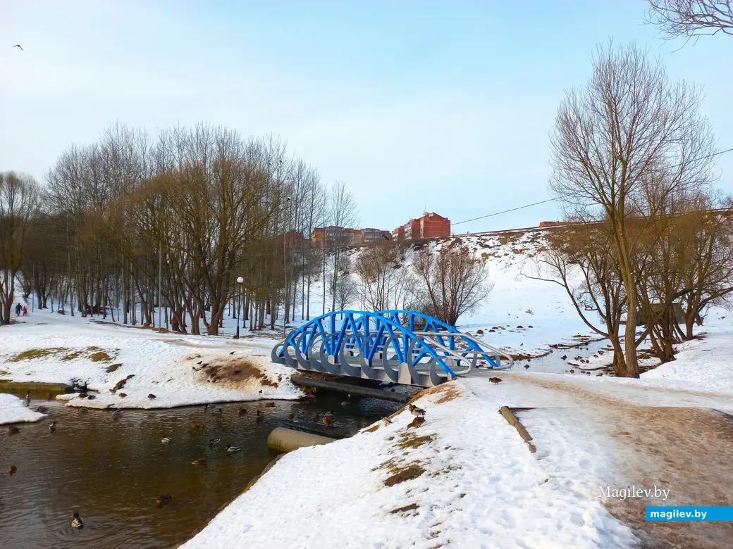 31.01.2024 г., Могилев, улица Селянская – Дубровенка.
