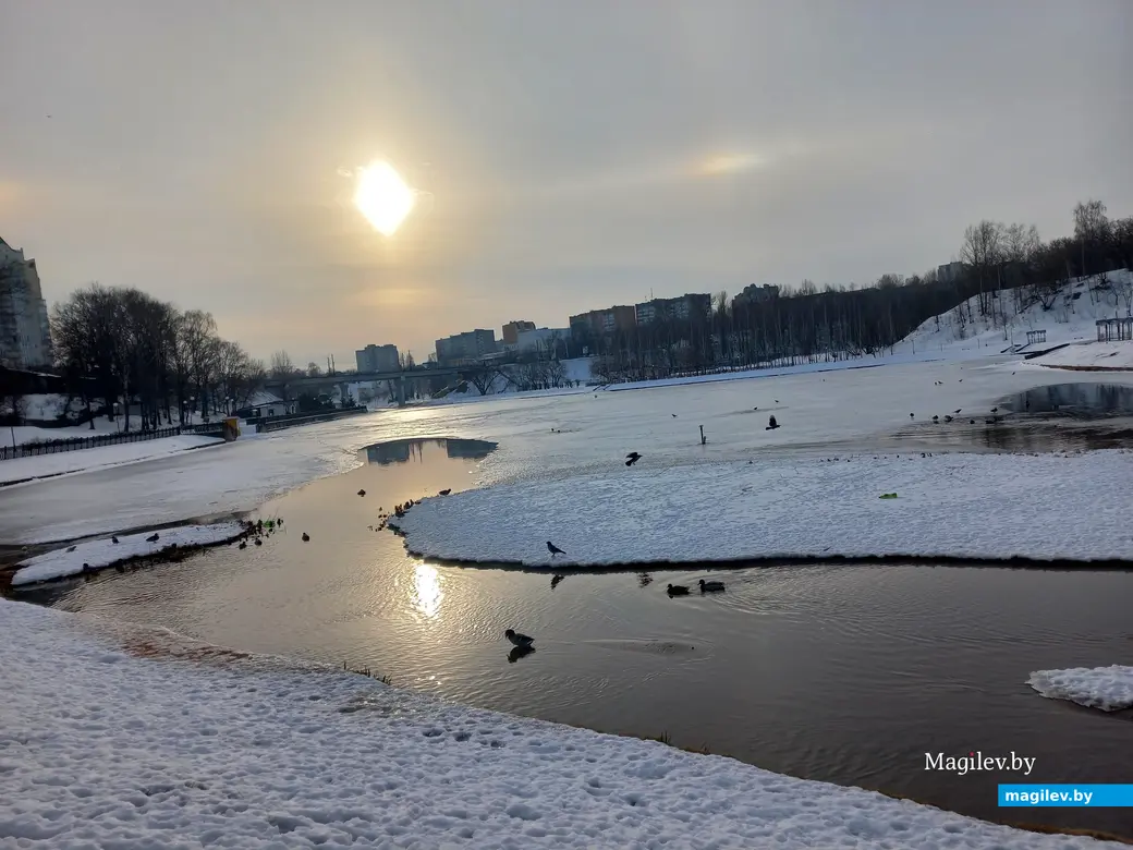 31.01.2024 г., Могилев, улица Селянская – Дубровенка. Солнечное гало.