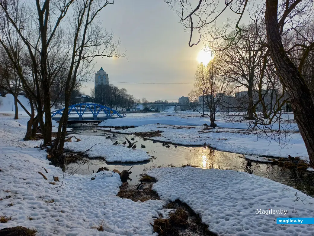 31.01.2024 г., Могилев, улица Селянская – Дубровенка. Солнечное гало.