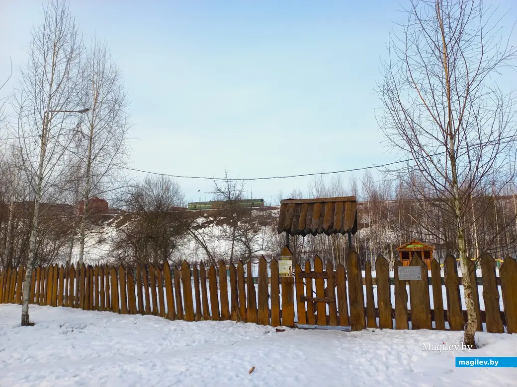 31.01.2024 г., Могилев, улица Селянская – Дубровенка.