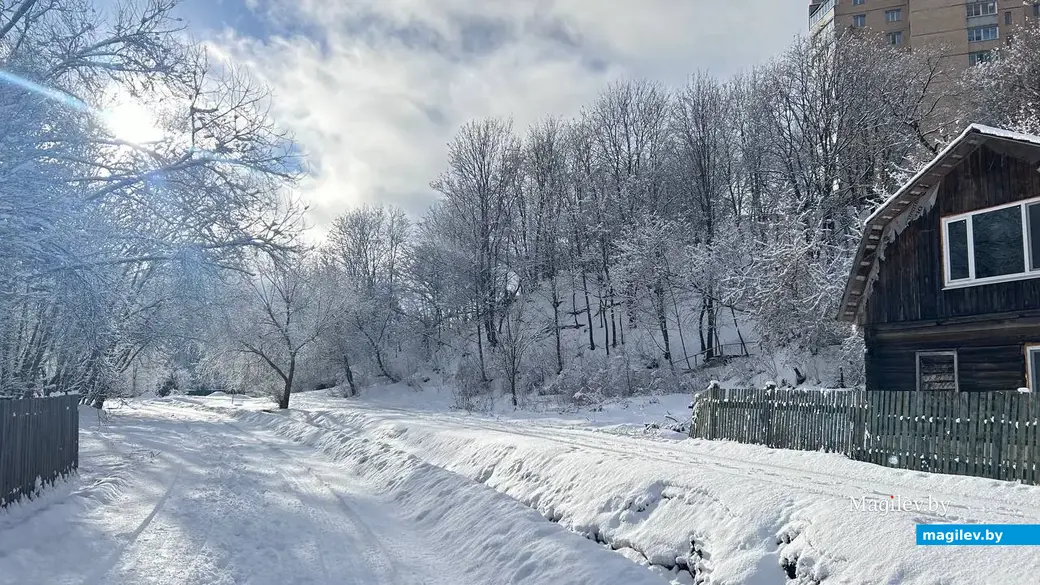 5 февраля 2024 г. Могилев. Зимняя сказка в городе! Фото Алины Логвиновой.