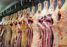 Впечатляющие цифры: в Минсельхозпроде рассказали, сколько планируется произвести продукции животноводства в 2024 году