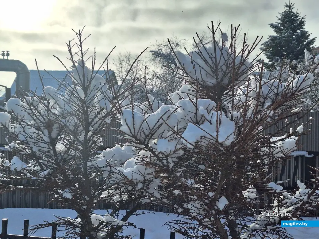 5 февраля 2024 г. Могилев. Зимняя сказка в городе!