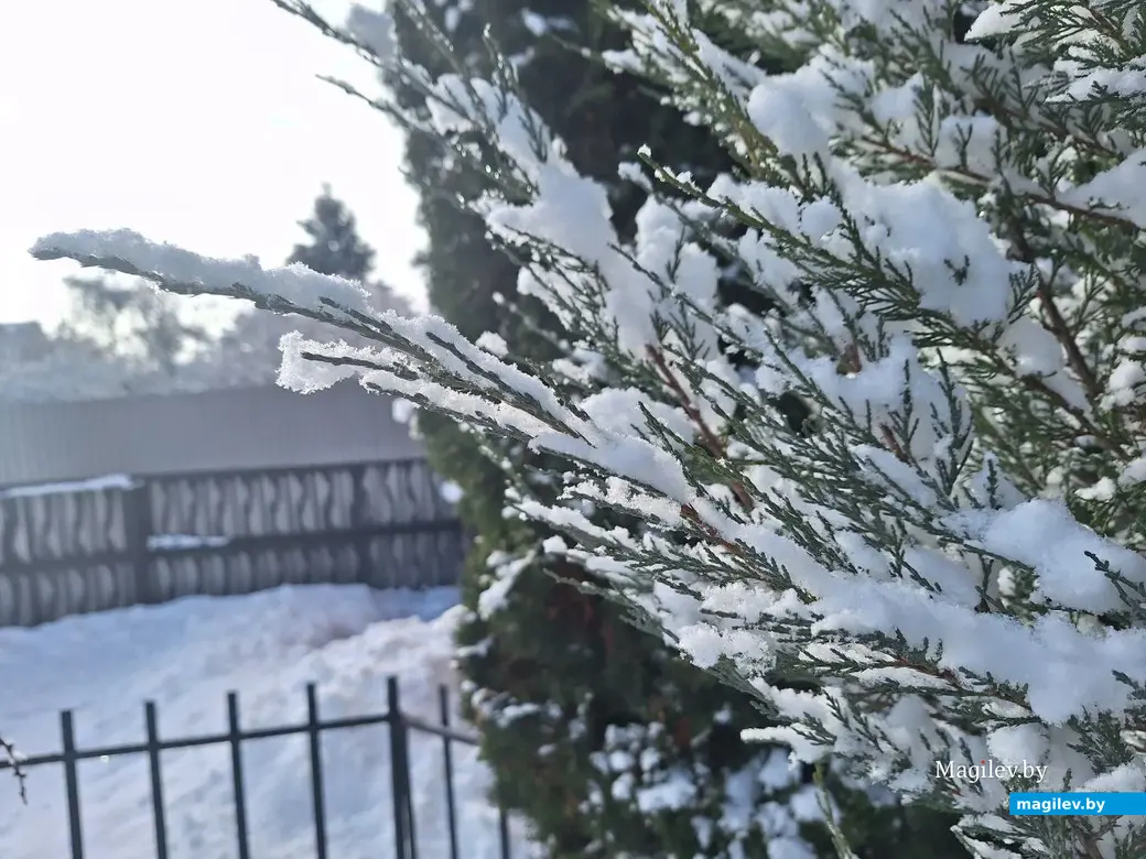 5 февраля 2024 г. Могилев. Зимняя сказка в городе!