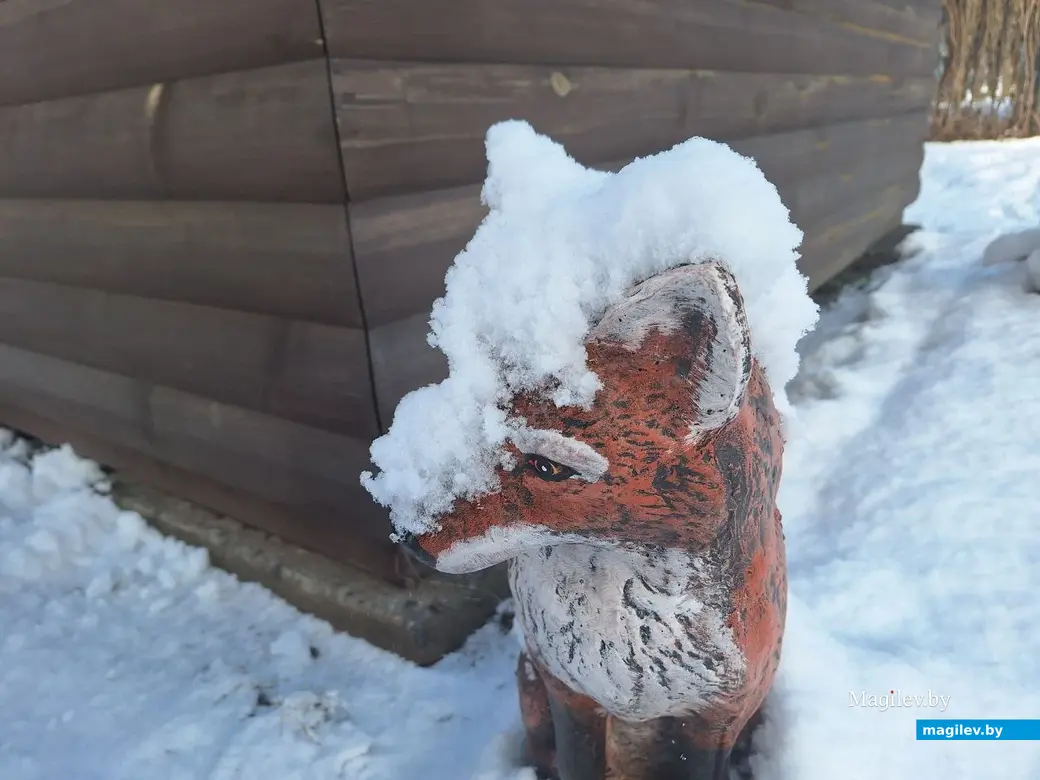 5 февраля 2024 г. Могилев. Зимняя сказка в городе!