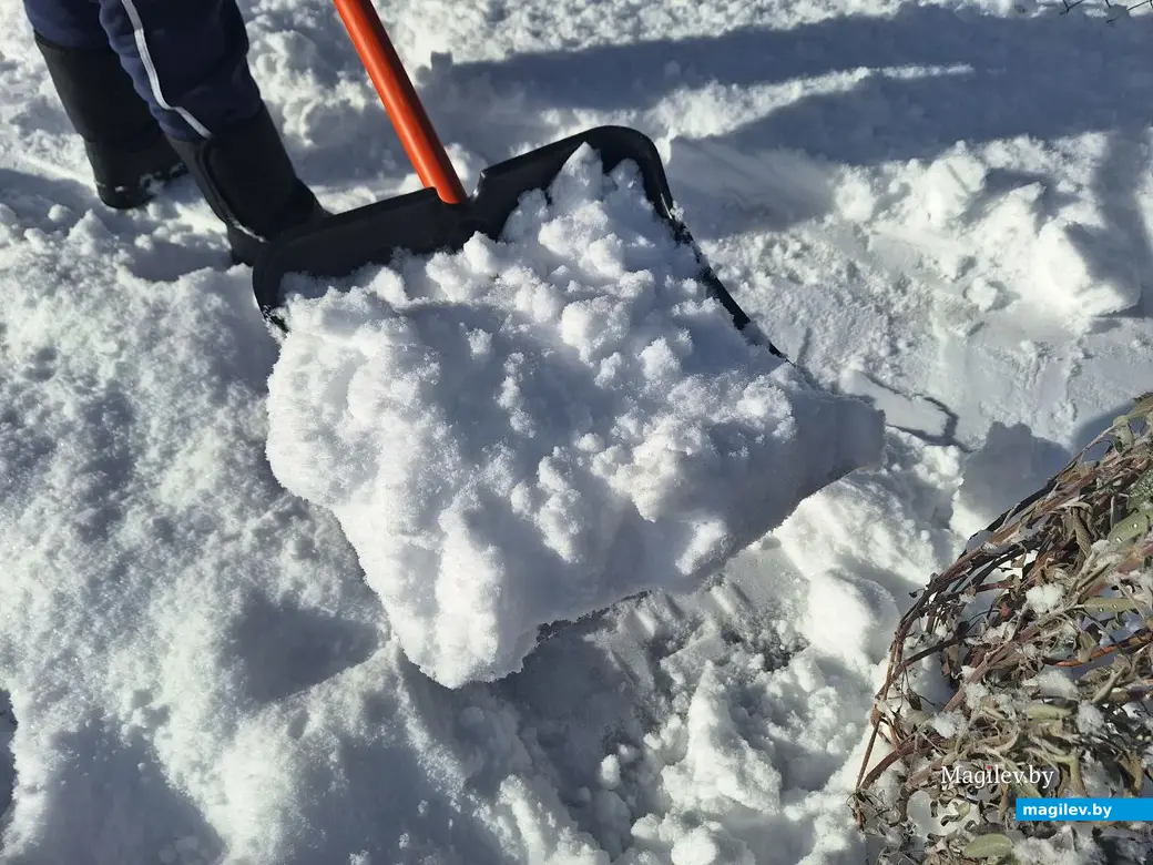 5 февраля 2024 г. Могилев. Зимняя сказка в городе!