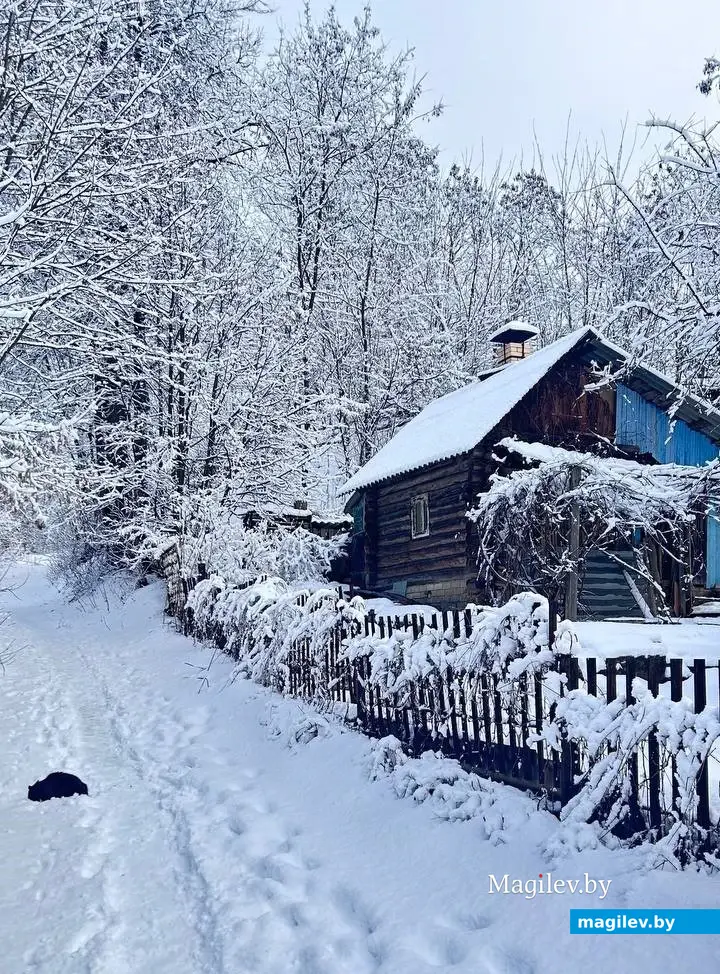 5 февраля 2024 г. Могилев. Зимняя сказка в городе! Фото Алины Логвиновой.
