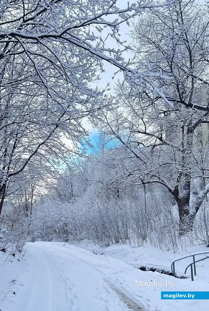 5 февраля 2024 г. Могилев. Зимняя сказка в городе! Фото Алины Логвиновой.