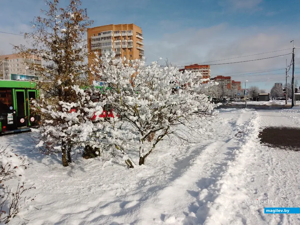 5 февраля 2024 г. Могилев, ул. Островского. Зимняя сказка в городе! Фото Василия Половикова.