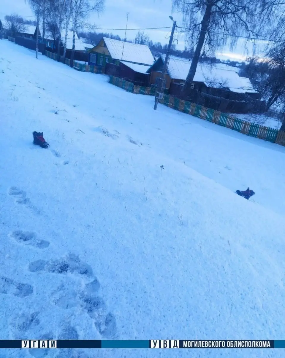 Февраль 2024 г., Шкловский район, д. Княжицы. ДТП с участием автомобиля Iveco и нетрезвого пешехода.