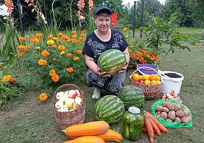 Как вырастить сладкие 10-килограммовые арбузы без парника и удобрений